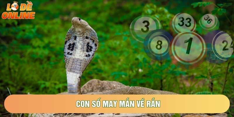 Con số may mắn về rắn Con số may mắn về rắn