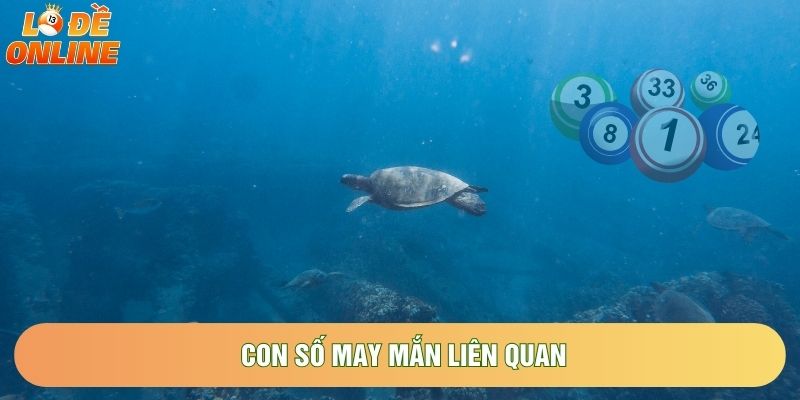 Con số may mắn liên quan Con số may mắn liên quan