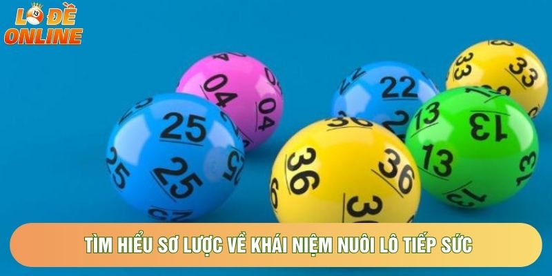 Tìm hiểu sơ lược về khái niệm nuôi lô tiếp sức Tìm hiểu sơ lược về khái niệm nuôi lô tiếp sức