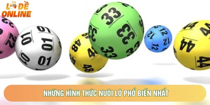 Những hình thức nuôi lô phổ biến nhất Những hình thức nuôi lô phổ biến nhất